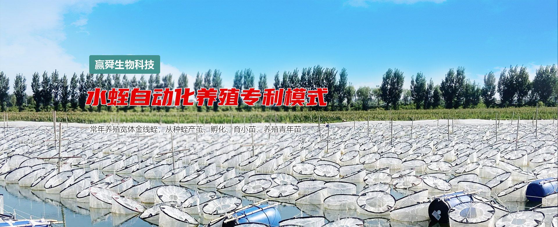 维多利亚老品牌vic