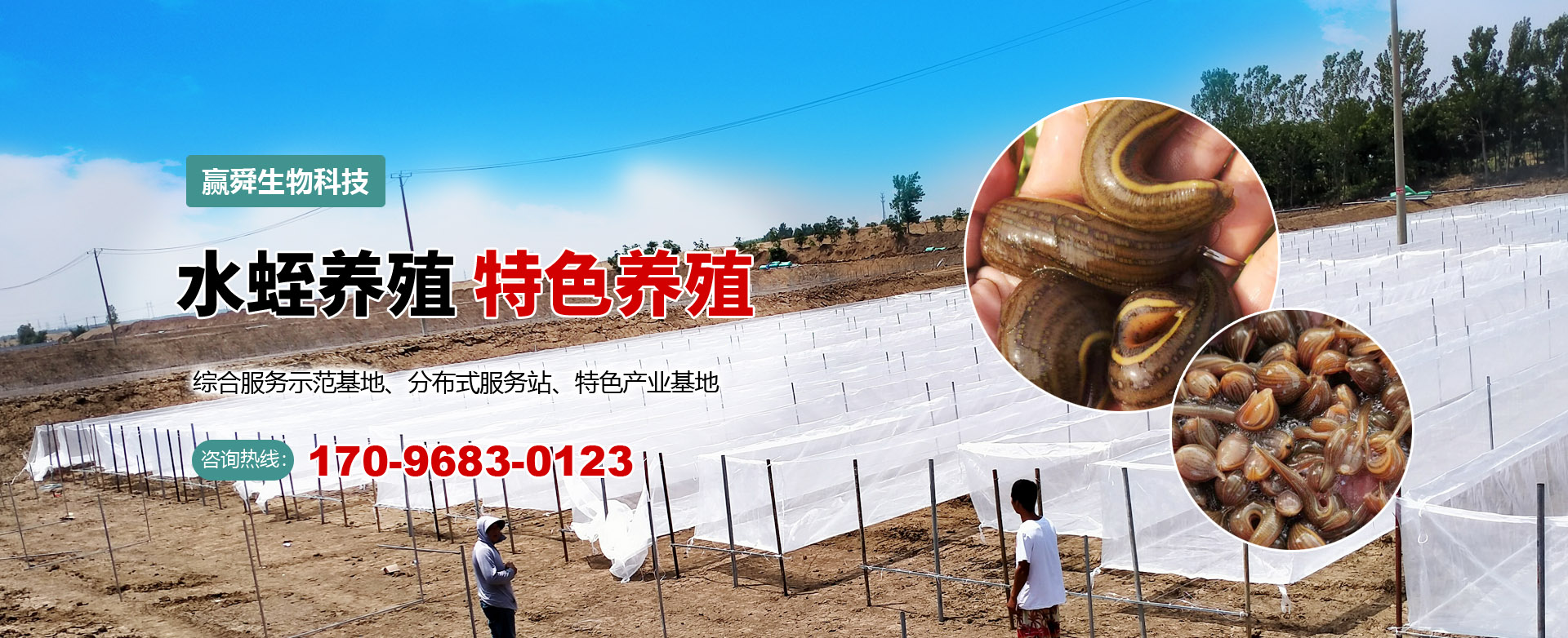 维多利亚老品牌vic