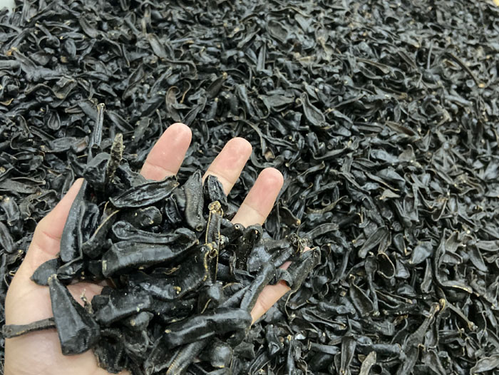 维多利亚老品牌vic制品