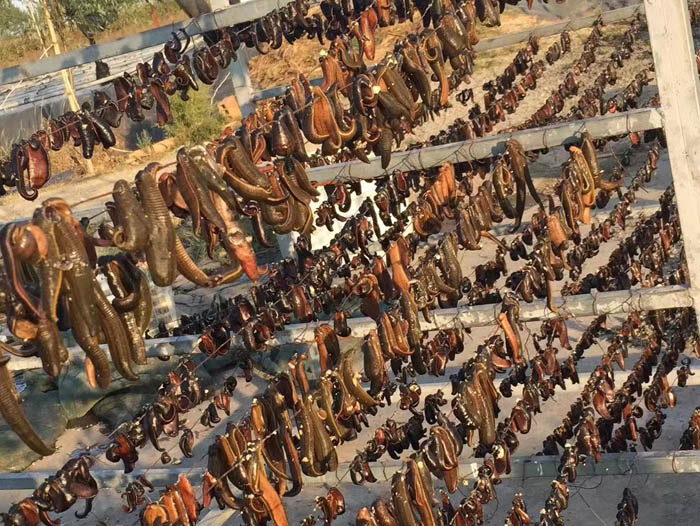 维多利亚老品牌vic制品