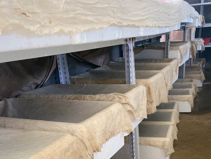 维多利亚老品牌vic制品