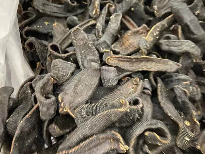 维多利亚老品牌vic制品