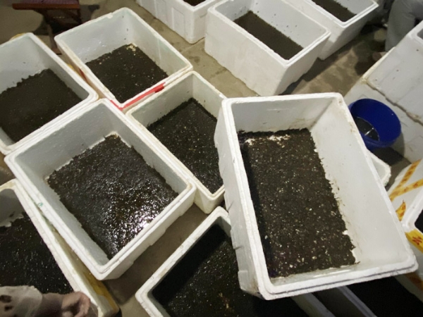 维多利亚老品牌vic制品