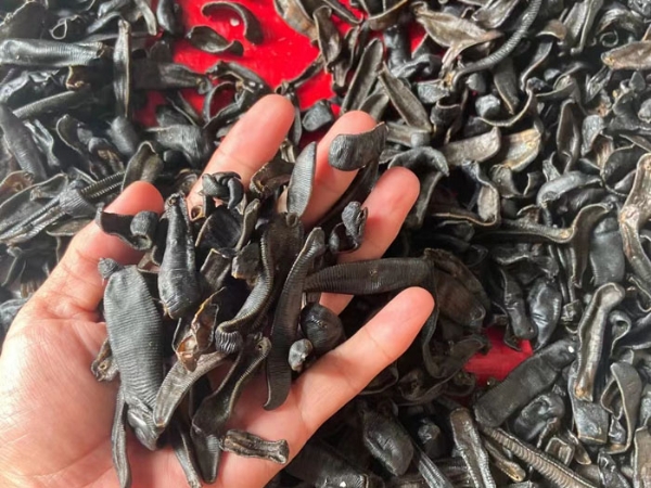 维多利亚老品牌vic制品