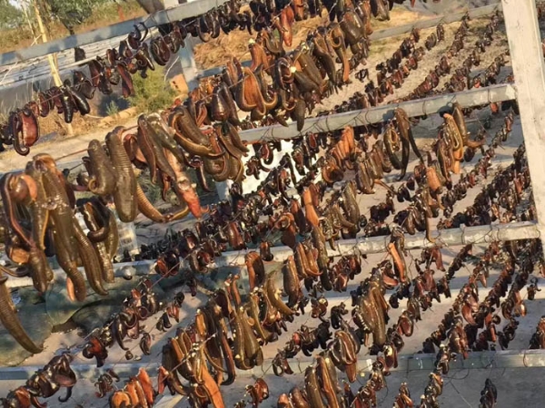 维多利亚老品牌vic制品