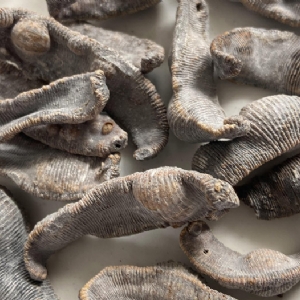 维多利亚老品牌vic制品