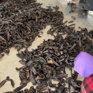 维多利亚老品牌vic制品