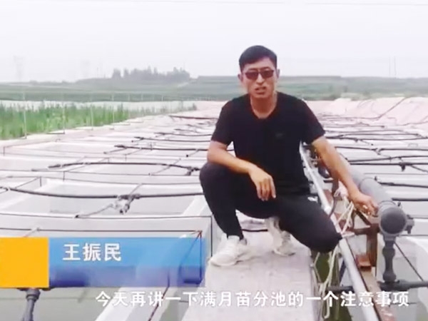 small4_17113368691988599 维多利亚老品牌vic满月苗的注重事项