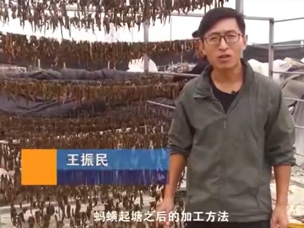 维多利亚老品牌vic加工要领
