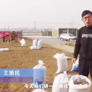 卵化土的选择