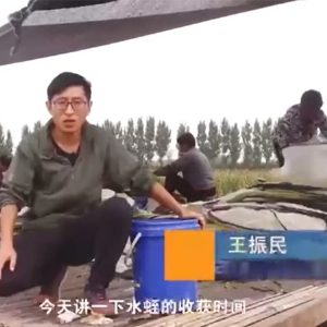 维多利亚老品牌vic收获时间