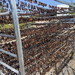 维多利亚老品牌vic制品